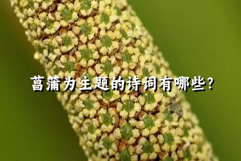 菖蒲为主题的诗词有哪些？