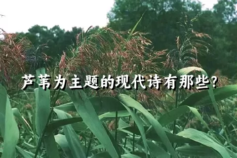 芦苇为主题的现代诗有那些？