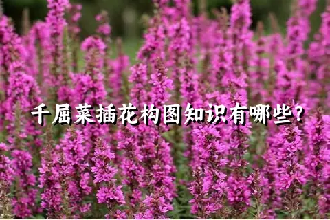 千屈菜插花构图知识有哪些？