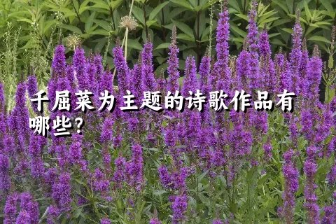 千屈菜为主题的诗歌作品有哪些？