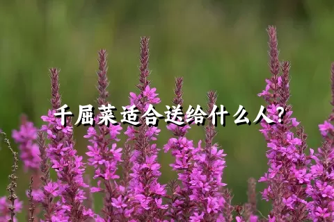 千屈菜适合送给什么人？