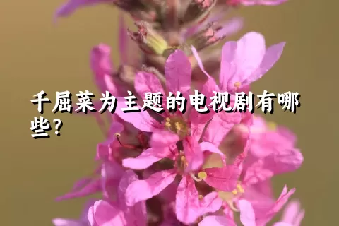 千屈菜为主题的电视剧有哪些？