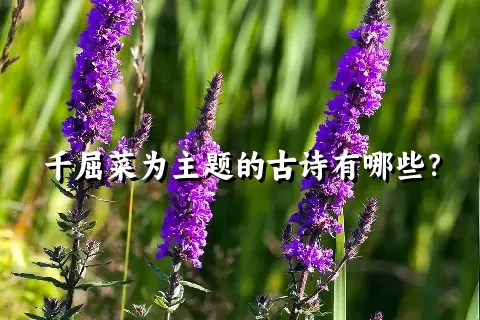 千屈菜为主题的古诗有哪些？