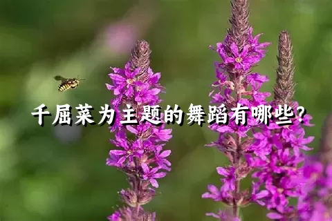千屈菜为主题的舞蹈有哪些？