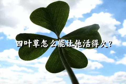 四叶草怎么能让他活得久？