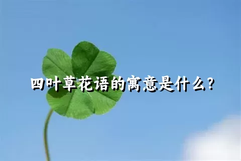 四叶草花语的寓意是什么？