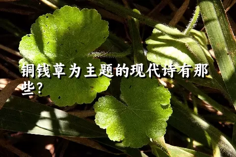 铜钱草为主题的现代诗有那些？