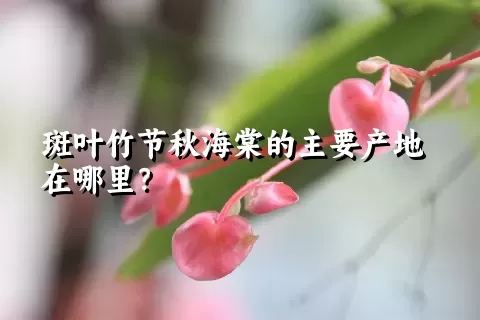 斑叶竹节秋海棠的主要产地在哪里？