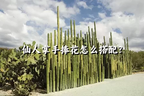 仙人掌手捧花怎么搭配？
