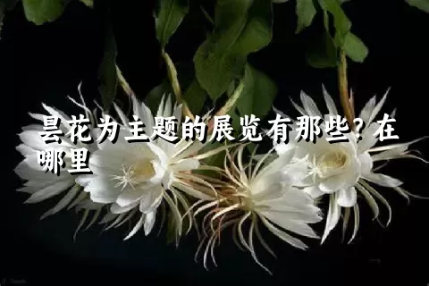 昙花为主题的展览有那些？在哪里