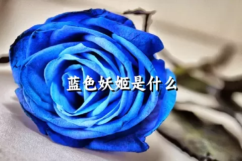蓝色妖姬是什么