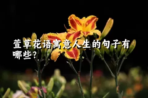 萱草花语寓意人生的句子有哪些？