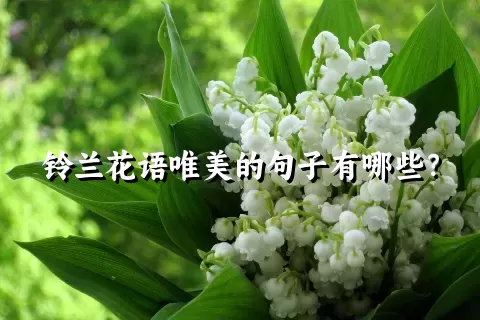 铃兰花语唯美的句子有哪些？