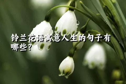 铃兰花语寓意人生的句子有哪些？
