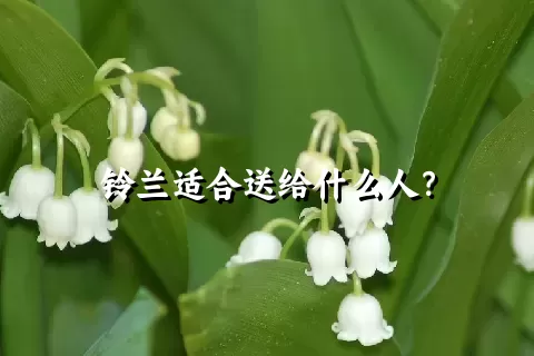 铃兰适合送给什么人？