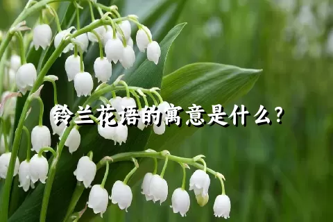 铃兰花语的寓意是什么？