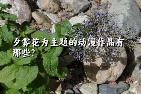 夕雾花为主题的动漫作品有那些？