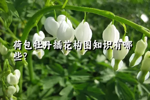 荷包牡丹插花构图知识有哪些？