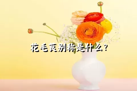 花毛茛别称是什么？