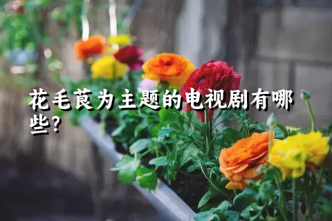 花毛茛为主题的电视剧有哪些？