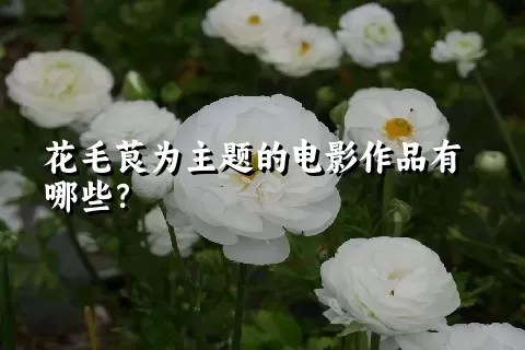 花毛茛为主题的电影作品有哪些？