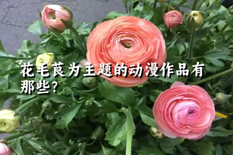 花毛茛为主题的动漫作品有那些？