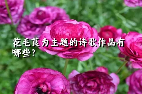 花毛茛为主题的诗歌作品有哪些？