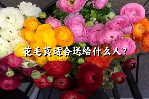 花毛茛适合送给什么人？