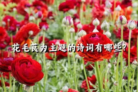 花毛茛为主题的诗词有哪些？