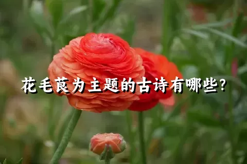 花毛茛为主题的古诗有哪些？