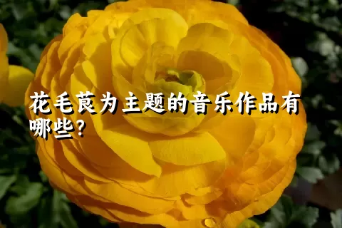 花毛茛为主题的音乐作品有哪些？