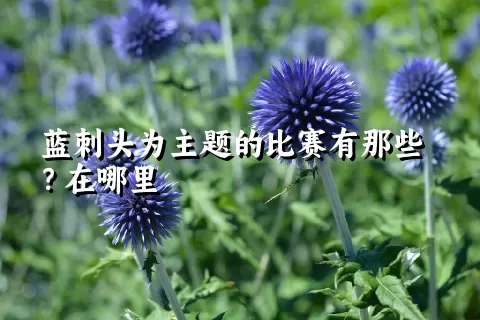 蓝刺头为主题的比赛有那些？在哪里