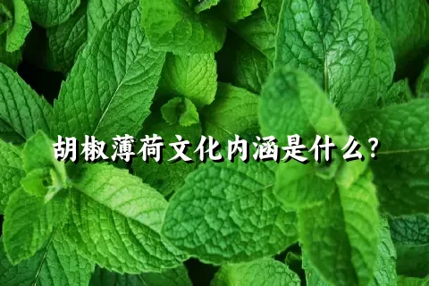 胡椒薄荷文化内涵是什么？