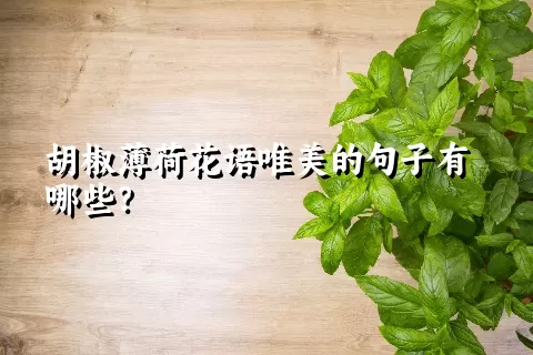 胡椒薄荷花语唯美的句子有哪些？