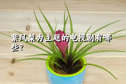 紫凤梨为主题的电视剧有哪些？