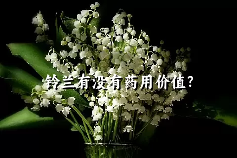 铃兰有没有药用价值？