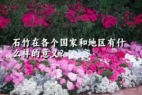 石竹在各个国家和地区有什么样的意义？