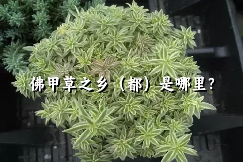 佛甲草之乡（都）是哪里？