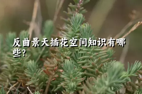反曲景天插花空间知识有哪些？
