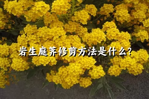 岩生庭荠修剪方法是什么？