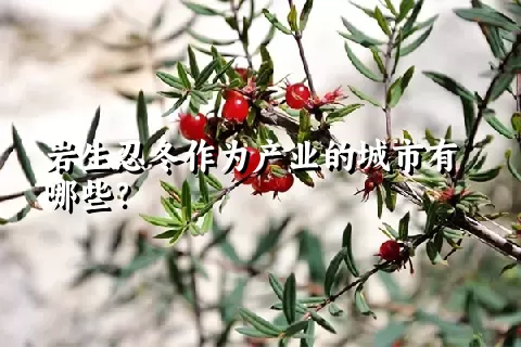 岩生忍冬作为产业的城市有哪些？