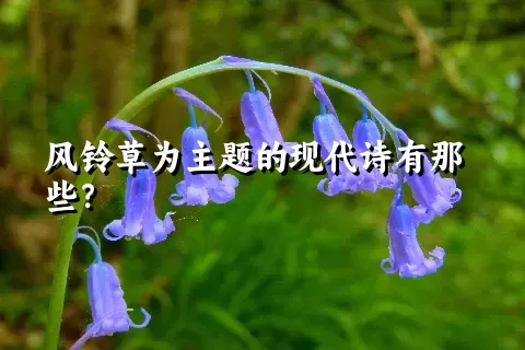 风铃草为主题的现代诗有那些？