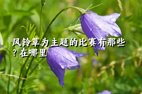 风铃草为主题的比赛有那些？在哪里