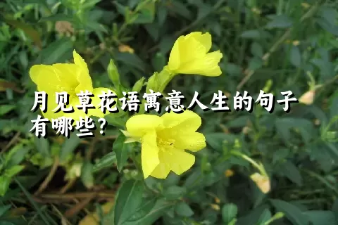 月见草花语寓意人生的句子有哪些？