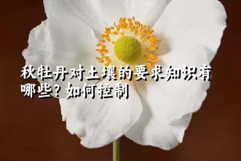 秋牡丹对土壤的要求知识有哪些？如何控制
