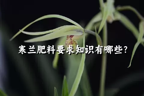 寒兰肥料要求知识有哪些？