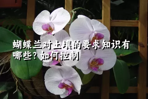 蝴蝶兰对土壤的要求知识有哪些？如何控制