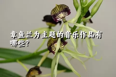 章鱼兰为主题的音乐作品有哪些？
