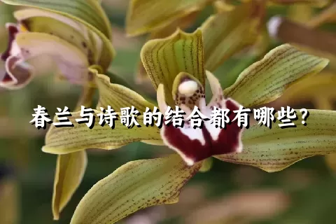 春兰与诗歌的结合都有哪些？