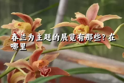 春兰为主题的展览有那些？在哪里